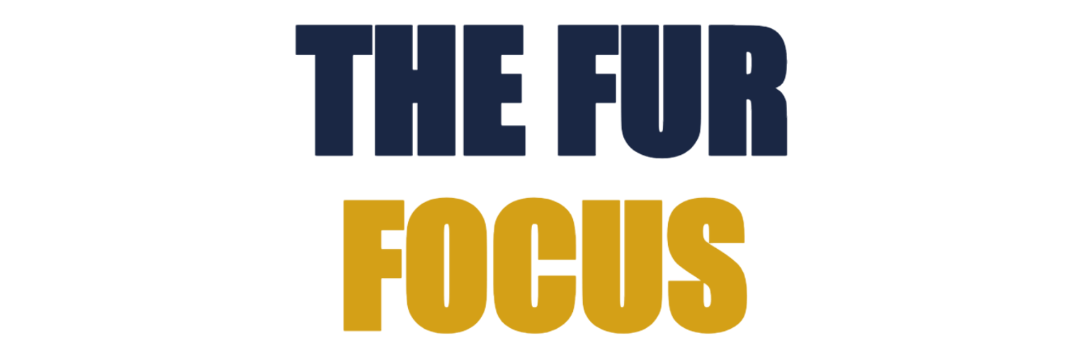 Thefurfocus